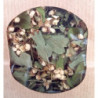 Aubépine