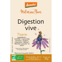 Tisane Digestion vive (en journée)