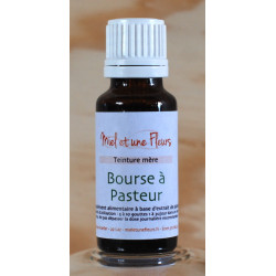 Alcoolature de Bourse à pasteur (Teinture-mère)