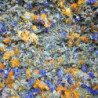 Mélange en vrac des plantes composant la tisane Vif matin