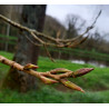Macérat dynamisé (D1) de bourgeons de Peuplier noir