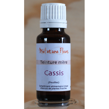 Alcoolature de Cassis (Teinture-mère)