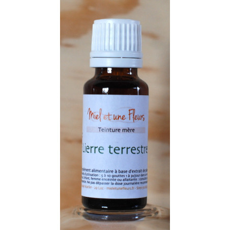 Alcoolature de Lierre terrestre (Teinture-mère)