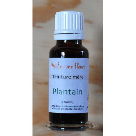 Alcoolature de Plantain (Teinture-mère)