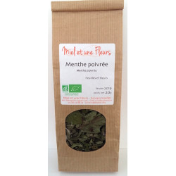 Menthe poivrée