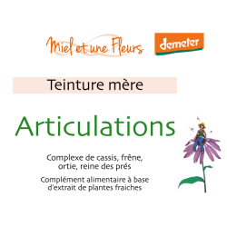 Synergie de teintures-mère "Articulations"