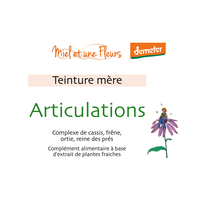 Synergie de teintures-mère "Articulations"