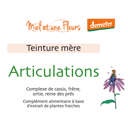 Synergie de teintures-mère "Articulations"