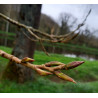 Macérat mère de bourgeons de Peuplier