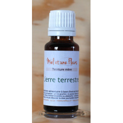 Alcoolature de Lierre terrestre (Teinture-mère)